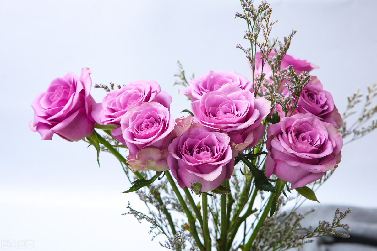 我是人间惆怅客知君何事泪纵横,我是人间惆怅客问君何时泪纵横