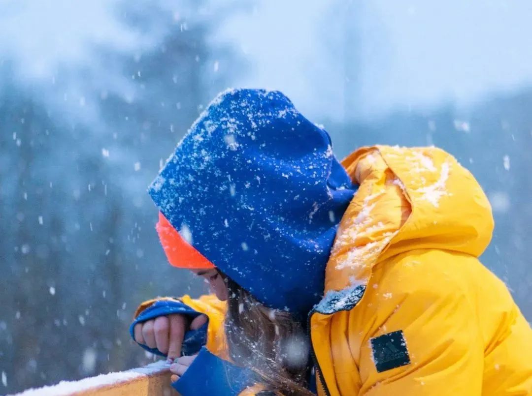 单身狗与人秀恩爱,单身狗和人约会