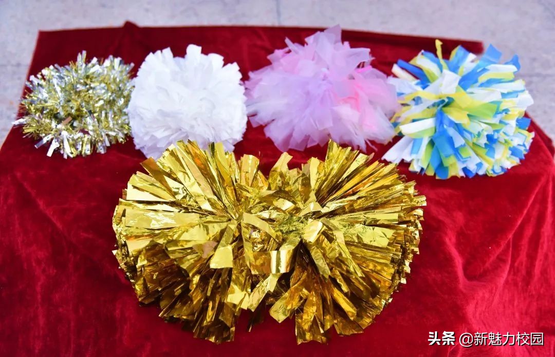 南京一中实验学校首届科技节实践活动之语数外物等学科作品展