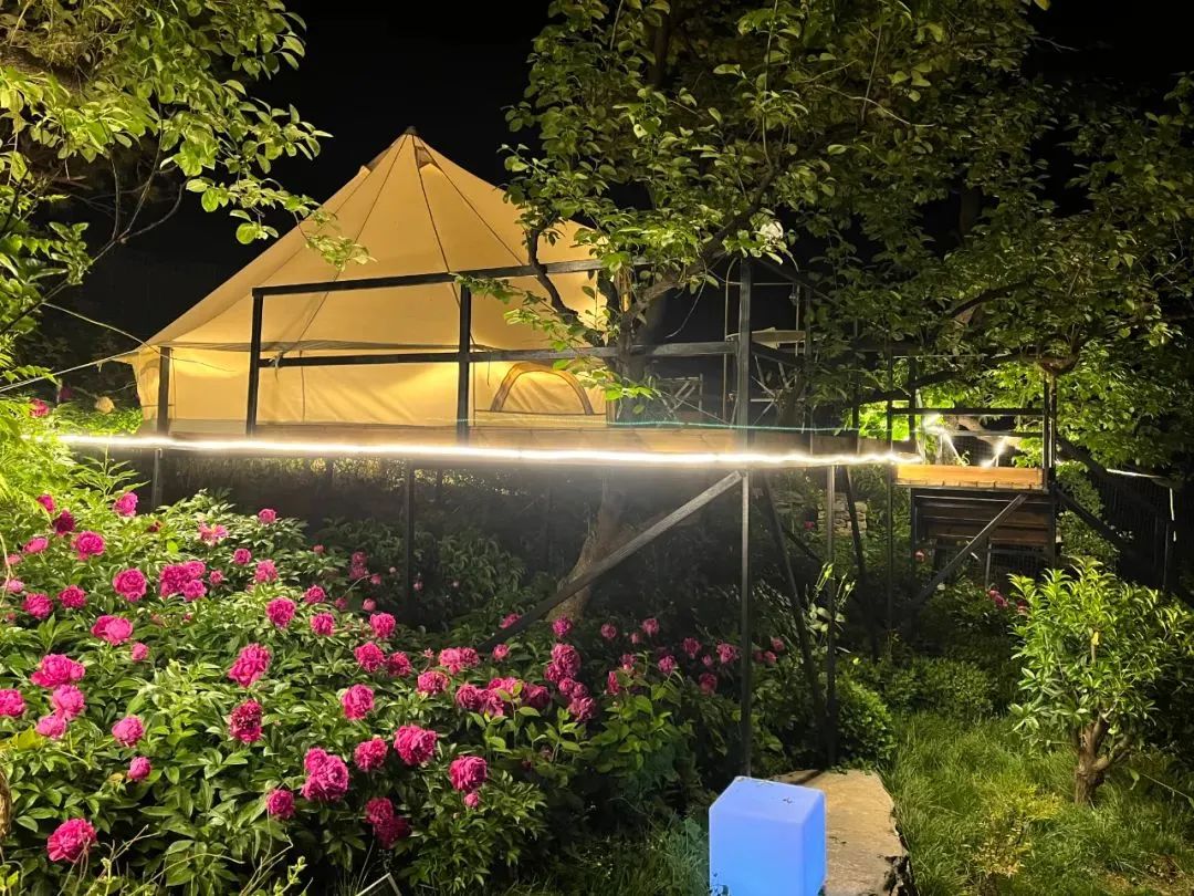 莱芜除了雪野哪里适合露营,莱芜雪野免费露营地推荐