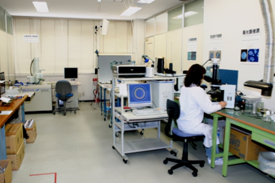 日本鱼线ygk,日本鱼线生产过程