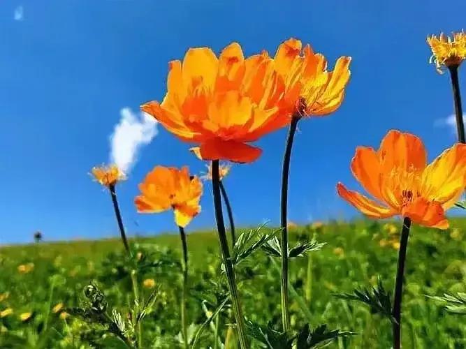 2023年02月27日星期一农历:癸卯年【兔年】二月初八八九第5天