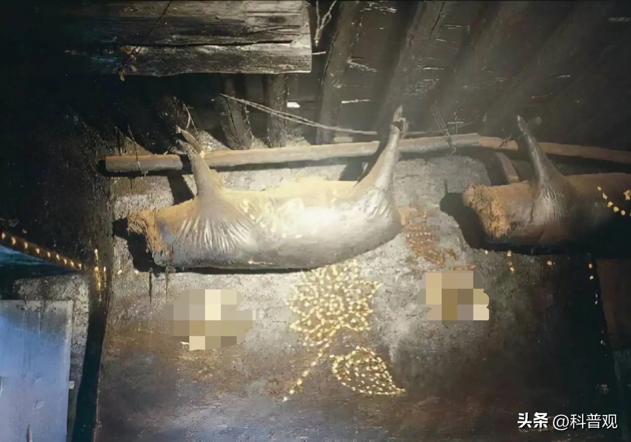 四川臭猪肉悬挂房梁30年,四川臭猪肉对人有什么危害