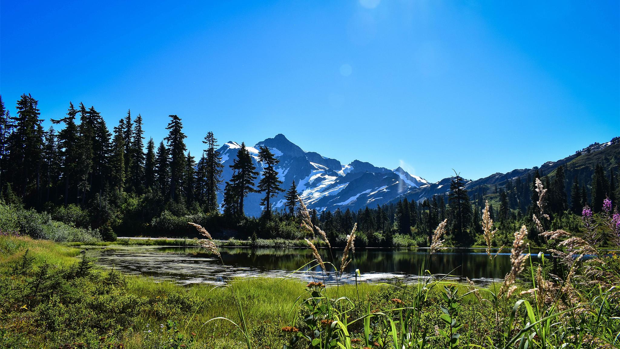 去武汉出差，同学小姨子热情招待我，与她发生幸福的事