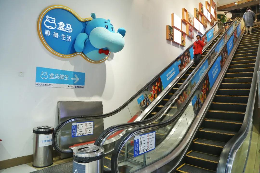 盒马金陵大肉包,盒马的金陵大肉包是真的吗