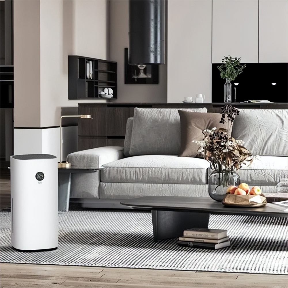 有必要买空气消毒机吗,有必要购买车载空气净化器吗