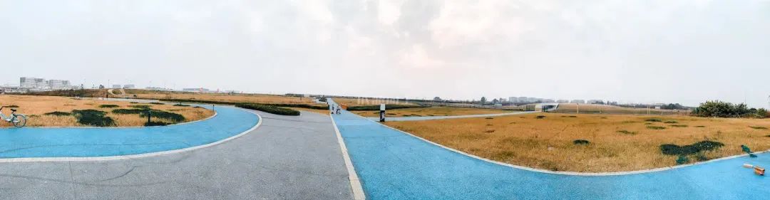 成都成华体育公园,成都成华区体育公园