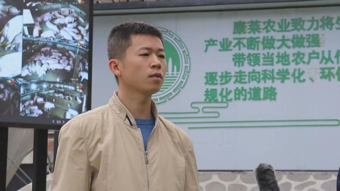 凝神聚力谋发展务实笃行开新局,凝神聚力真抓实干推动高质量发展