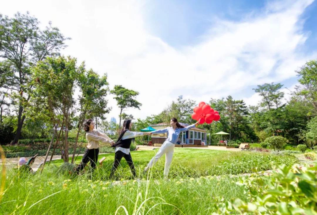 2号线沿线游玩攻略,南京二号线游玩攻略