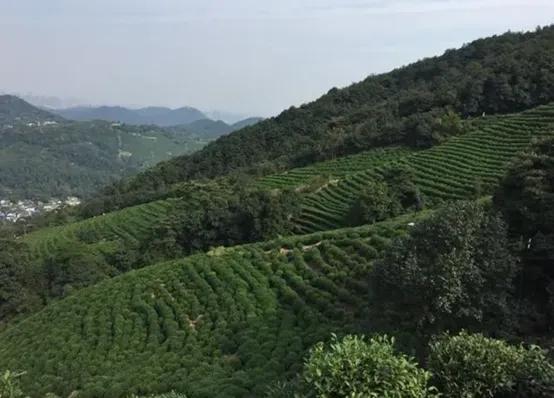 杭州好玩的地方和景点排行榜,杭州周边好玩的地方景点免费