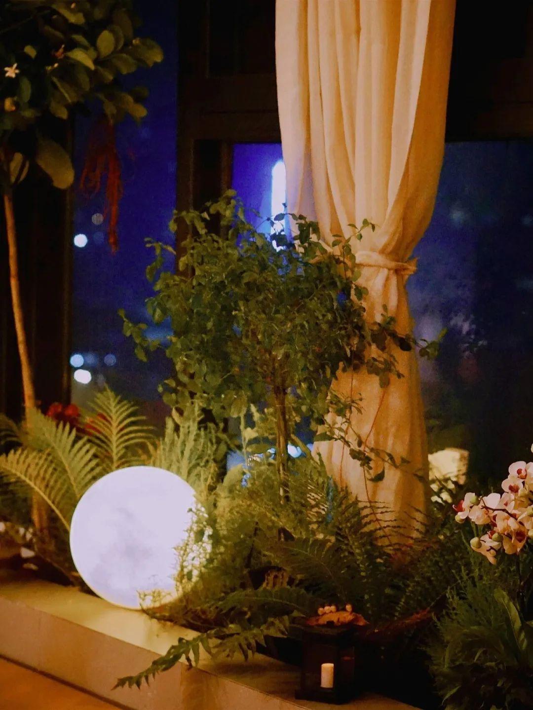 上海一33岁太太，在封闭阳台上砌了几块砖，花坛、鱼池全都有了