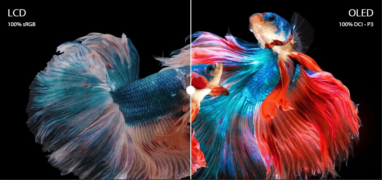 华硕无双笔记本配置参数,华硕无双16笔记本测评