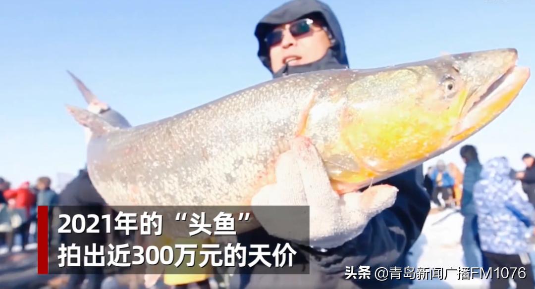 早安青岛信息,早安山东新闻