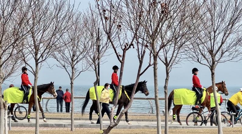 大连文旅三年行动计划,大连文旅政策文件