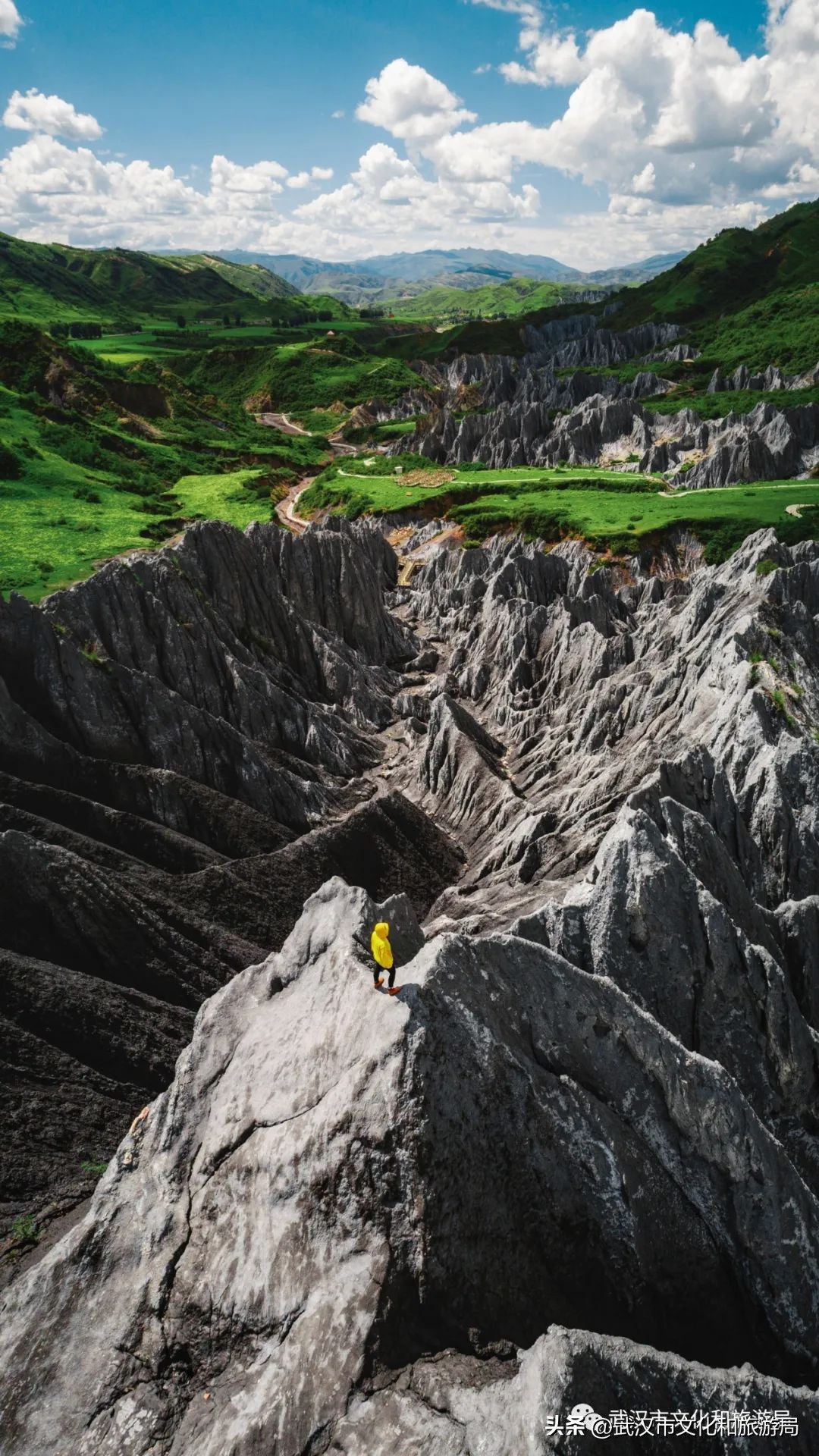 是时候重新认识一下了下一句,认识四川