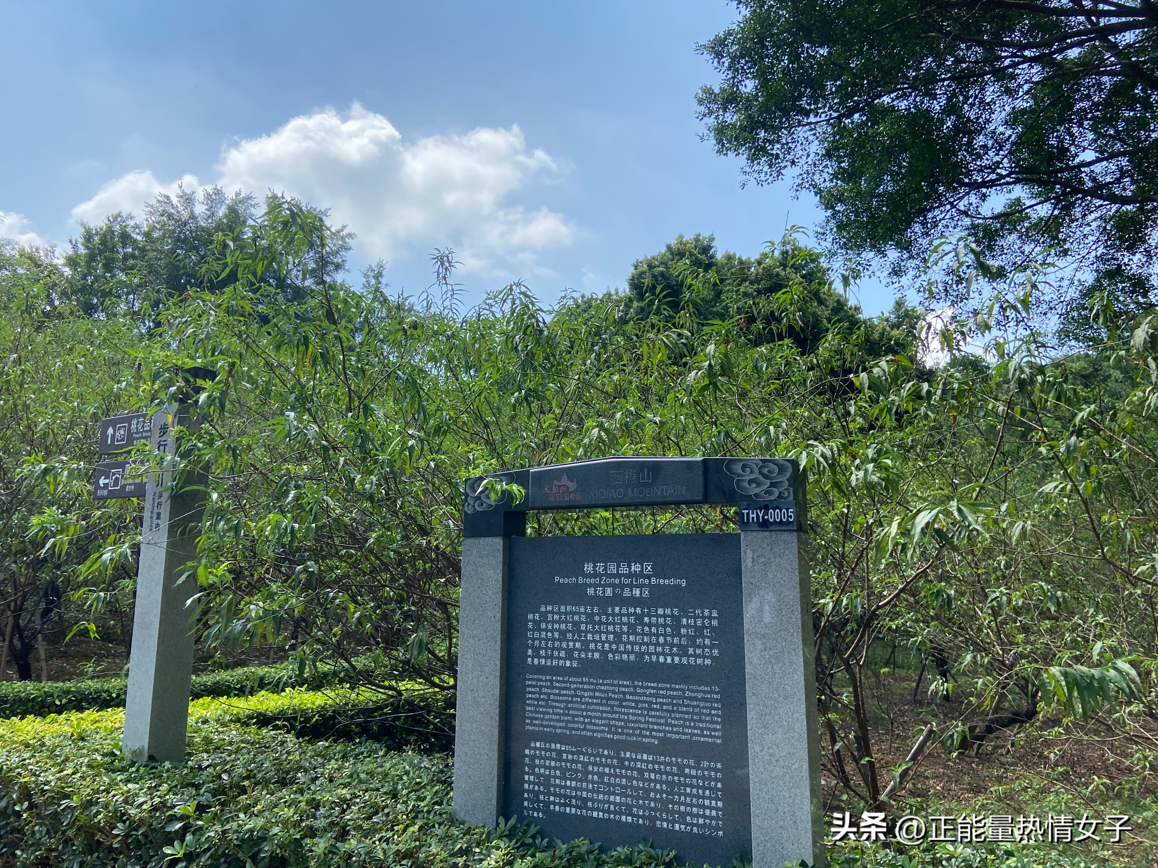 黄飞鸿故居一日游心得,黄飞鸿故里游玩攻略