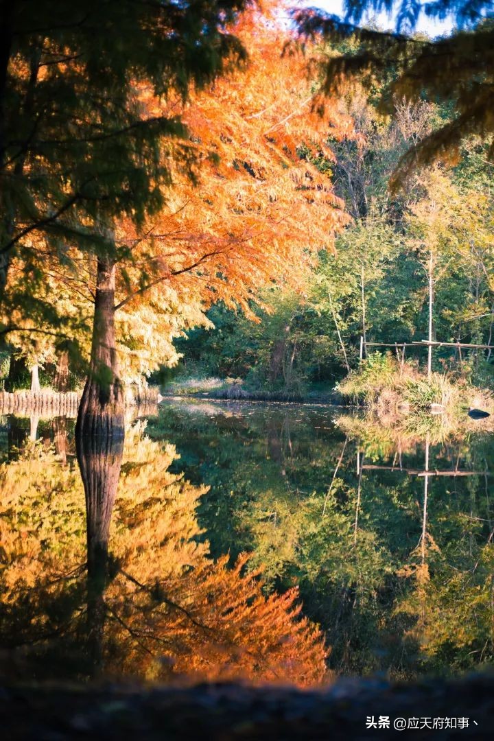 来南京不能错过的小众打卡地,南京江宁小众打卡点