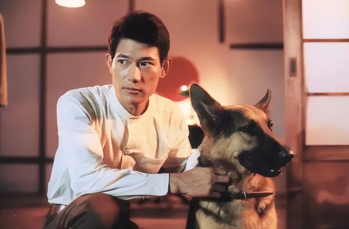 矢野浩二改名浩歌是日本人吗,矢野浩二改名浩歌了么