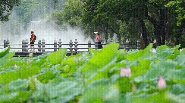 深圳人游玩推荐,深圳人爬山看海