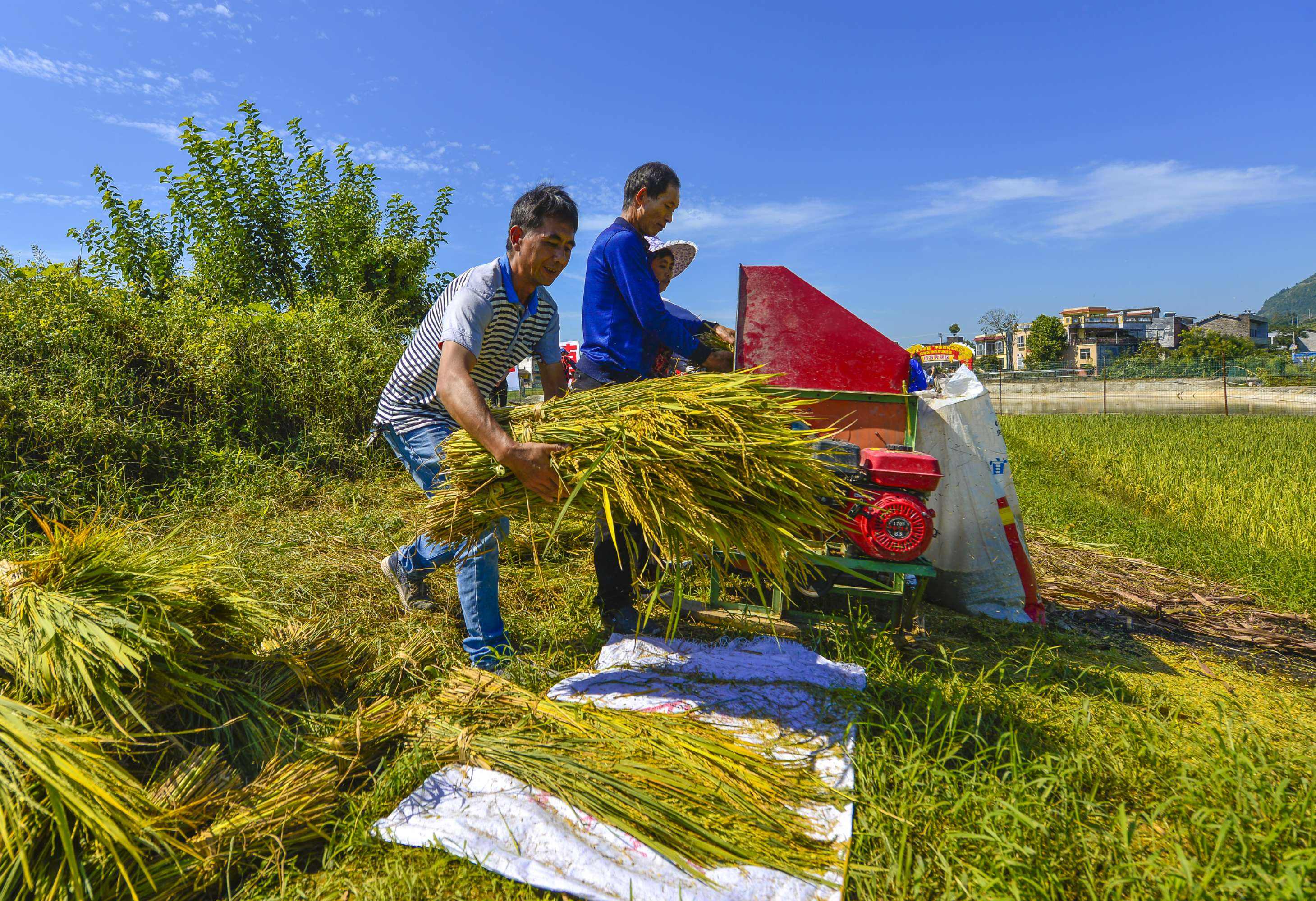 城镇化差异导致城乡收入差距,城镇化率对城镇收入差距的影响