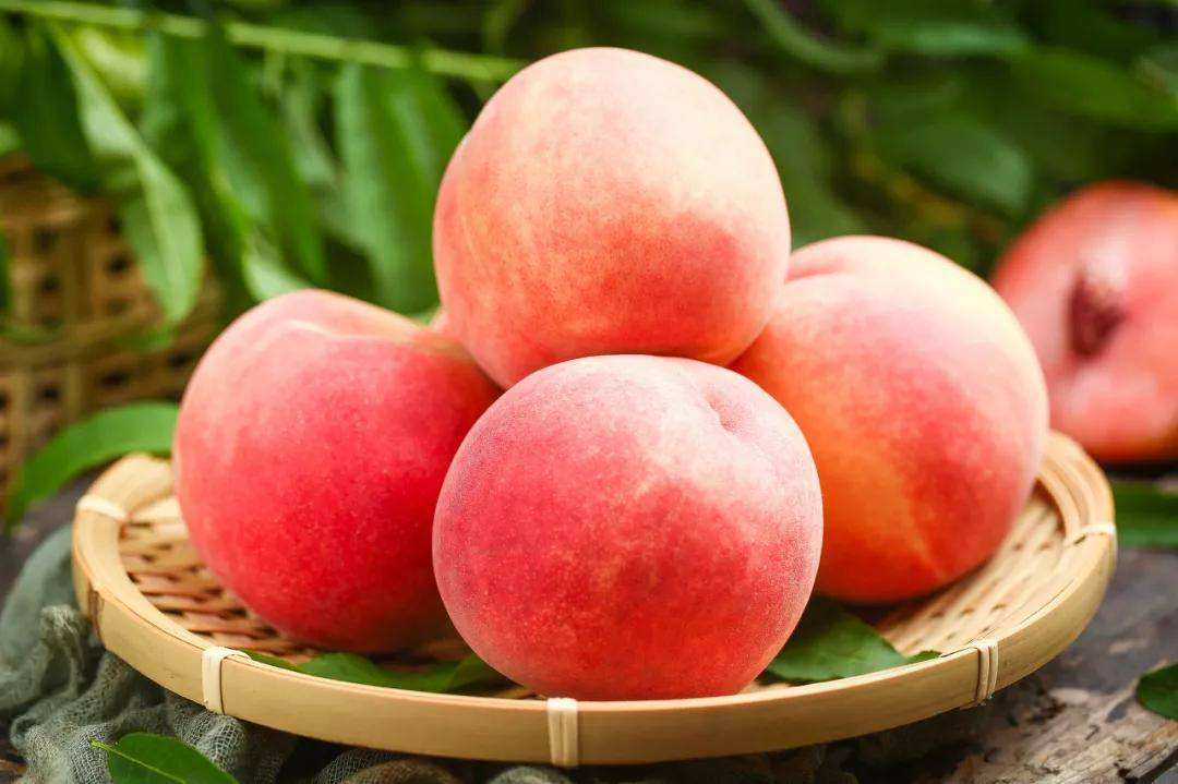 甘肃的什么地方的水果最好吃,甘肃的特色水果是什么