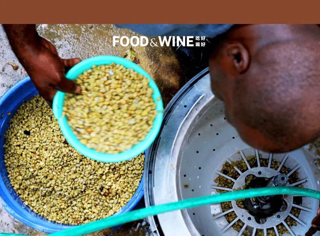 你有多久没听说过蓝山咖啡了,什么才是蓝山咖啡