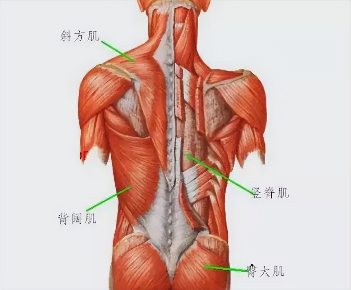 胸椎关节紊乱推拿手法,经方身痛逐瘀散配方