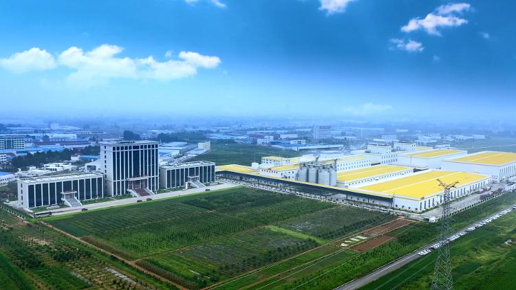 走在前开新局丨大报重磅！“三个十大”看临沂