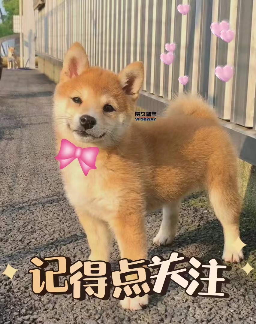 入境中国最新政策携带物品规定,最新入境攻略