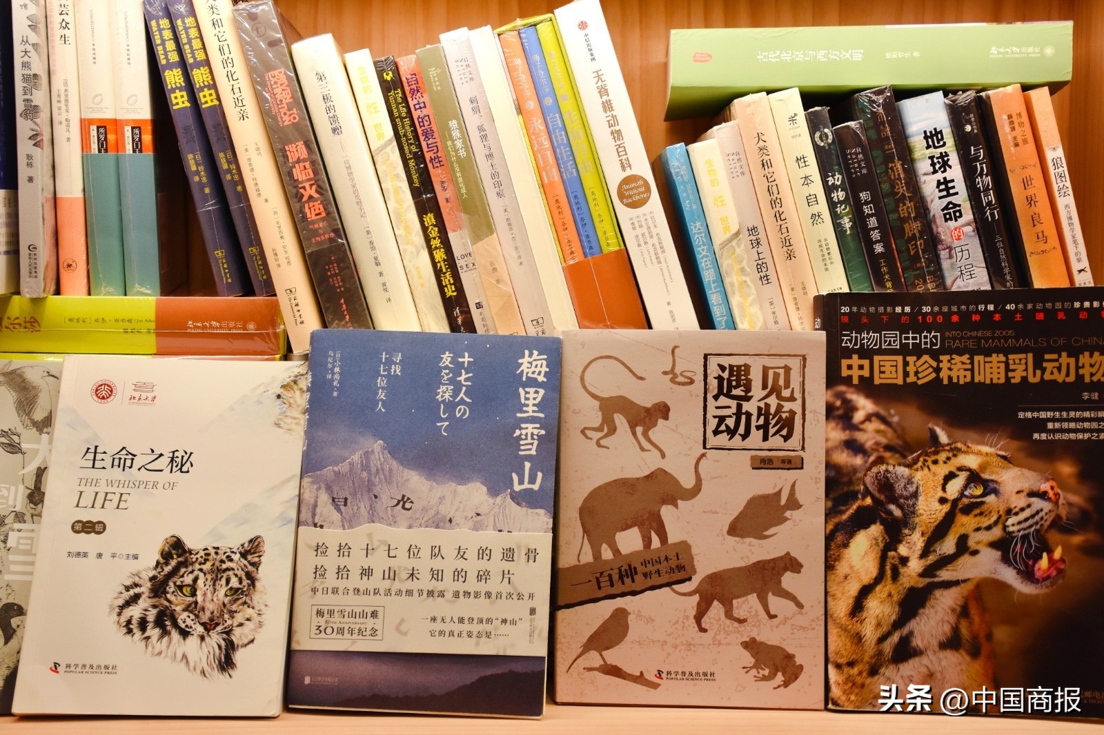 继卖餐饮、卖体验、卖空间之后,实体书店又找到赚钱新门道
