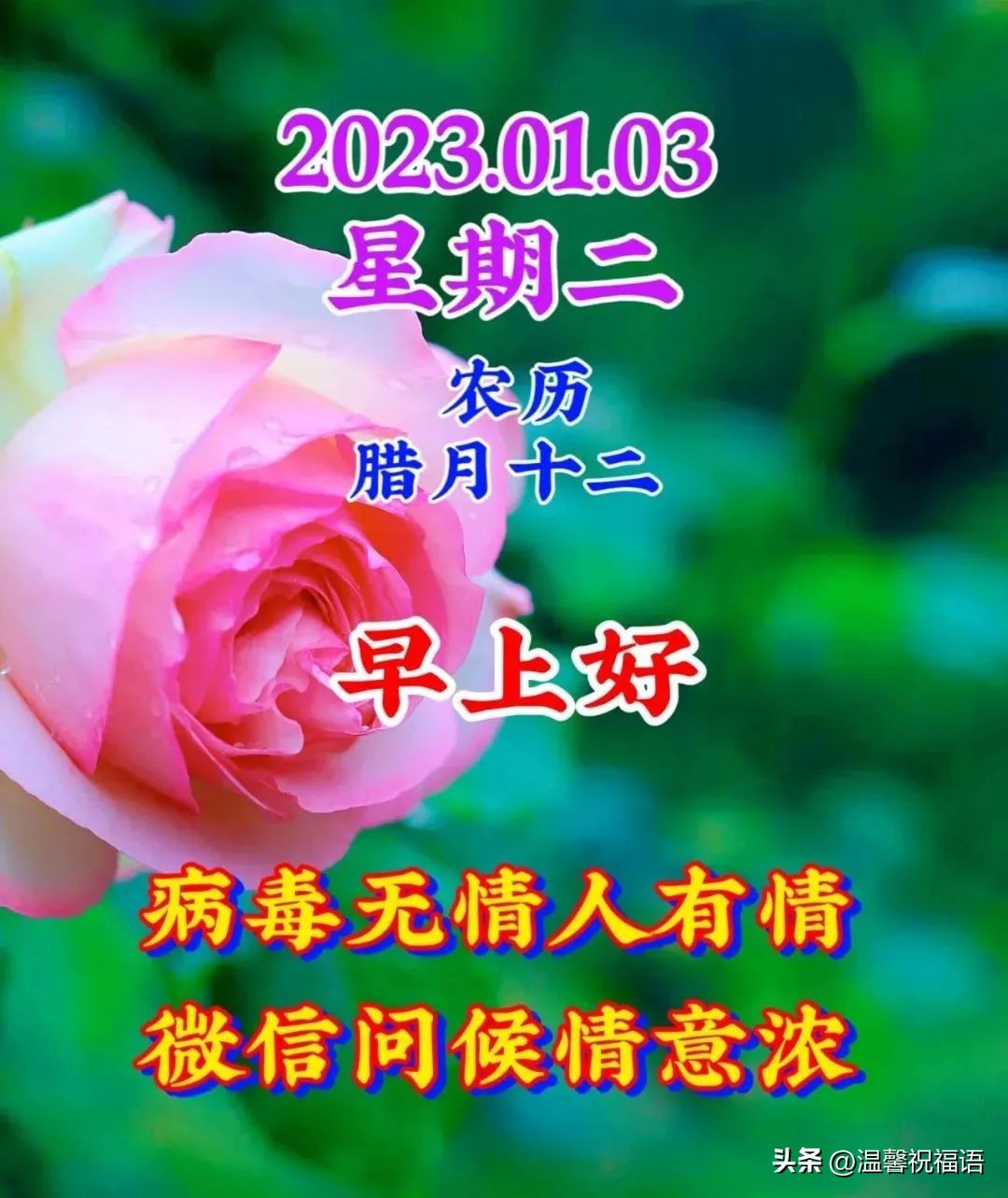 最新早安温馨祝福语美图大全,1月3日早安图片