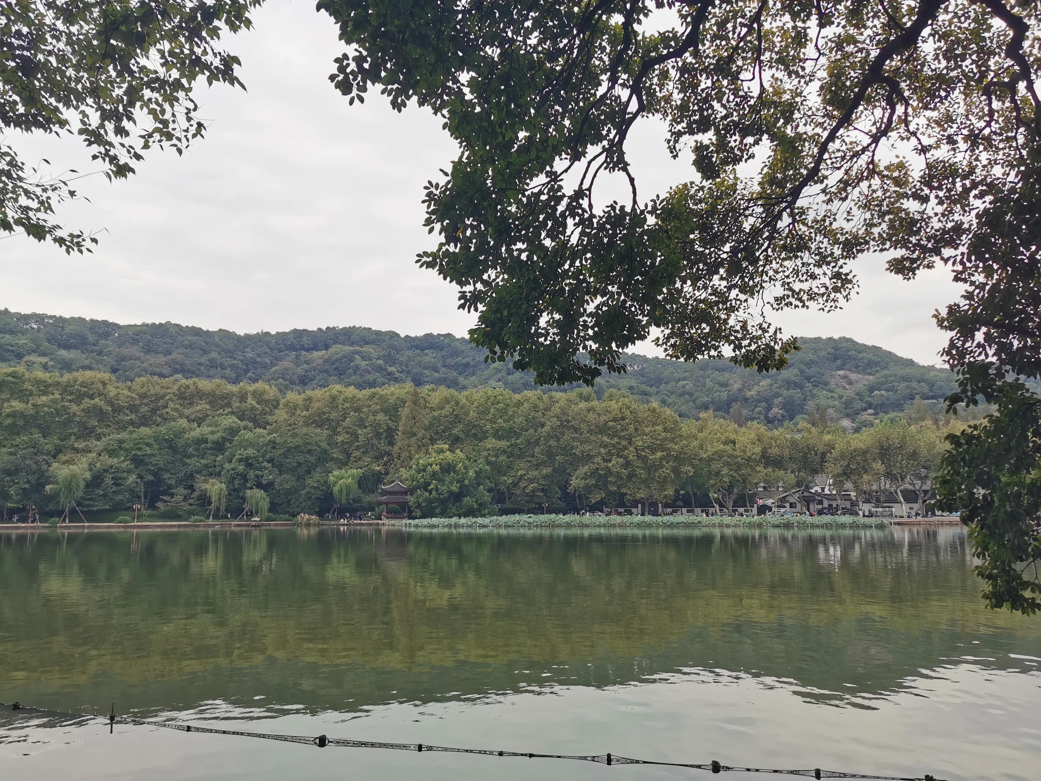 微信抢红包赌博犯法吗,微信抢红包赌博构成什么罪