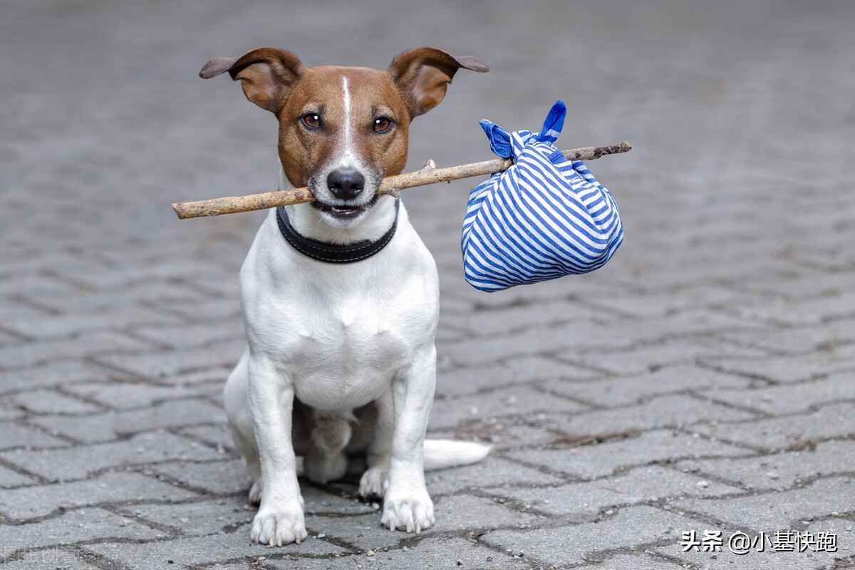 a股年度搞笑总结动图版,a股本周总结和思路