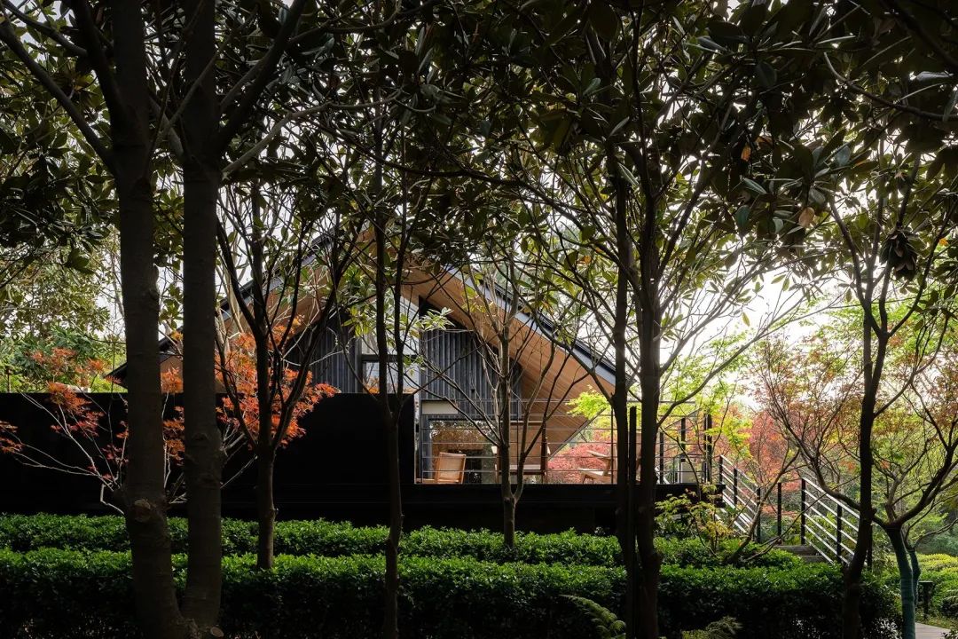 中国茶申遗成功吗,中国茶申遗成功44项名单