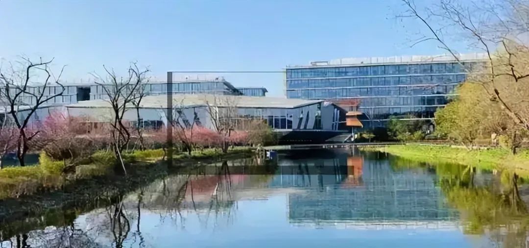 阿里巴巴西溪园租房,杭州阿里西溪园区租房