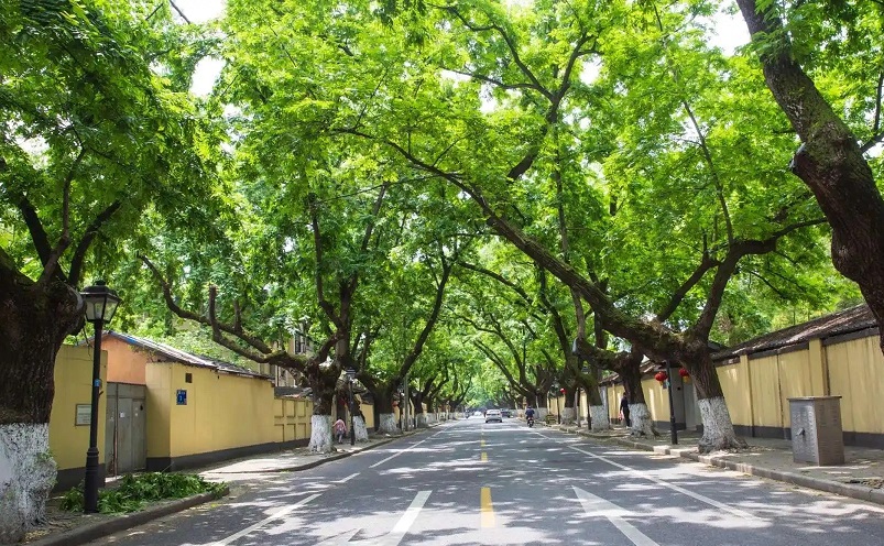 南京栖霞区免费游玩景点推荐,南京一百个免费景点