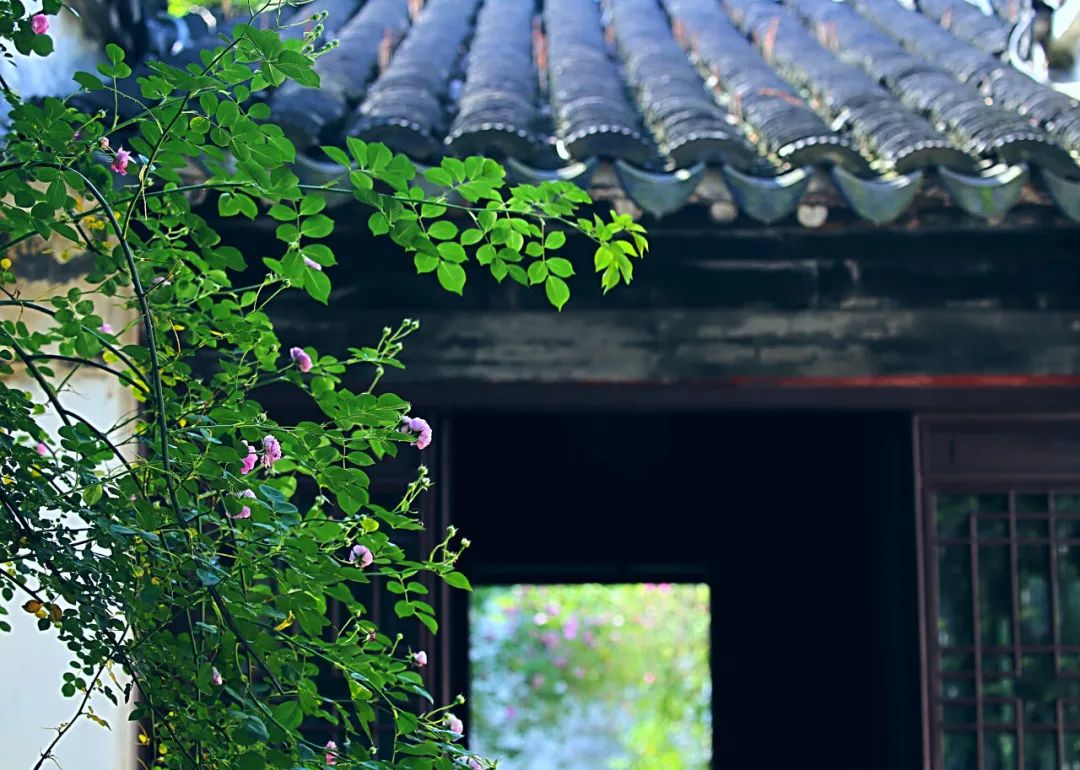 江南最美的城市,江南最好的风景城市