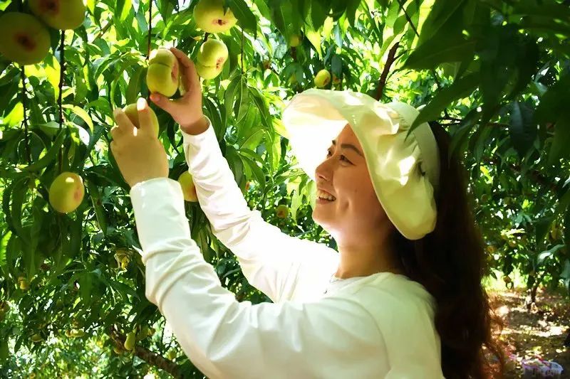 涓婇ザ閾呭北鐣叉棌椋庢儏,澶╀笅show