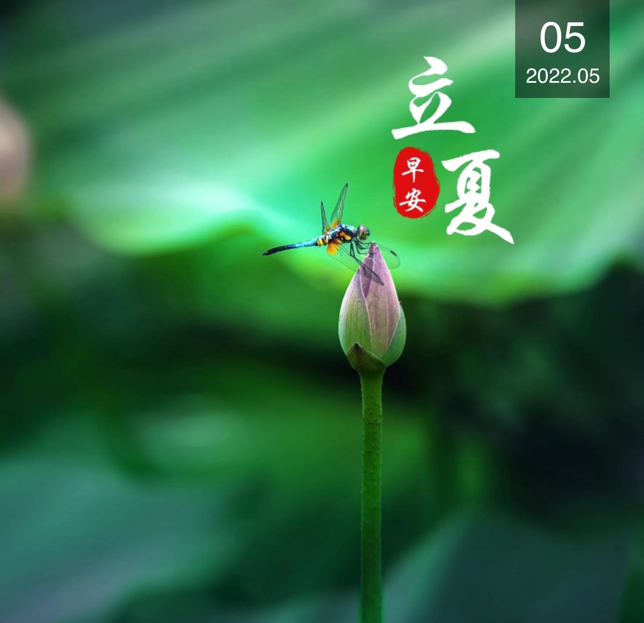 差二个月40年工龄养老金如何算,1972年出生41年工龄养老金是多少