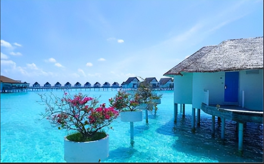 2025年申请单招通过的院校,2024十类已公布单招录取的院校