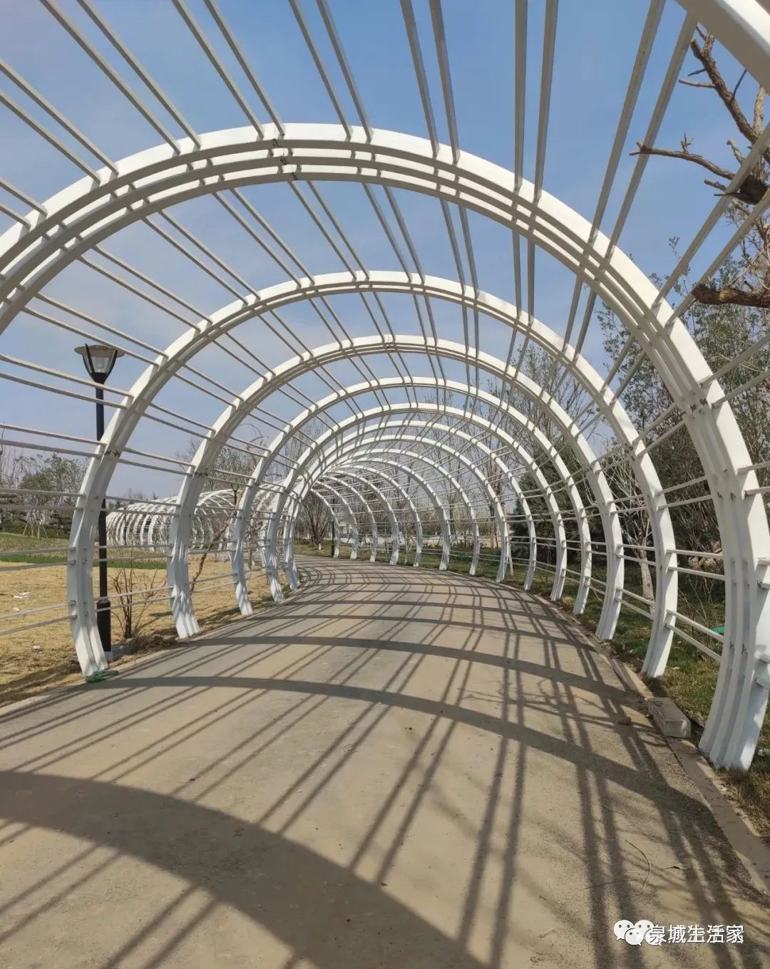 济南唐冶中央公园可以玩了吗,济南国际贸易港中央公园