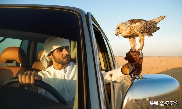 最近几年世界杯战况分析,为什么世界杯都是足球比赛