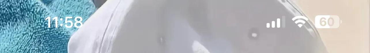 iphoneios16建议更新吗,ios16更新后软件还在吗