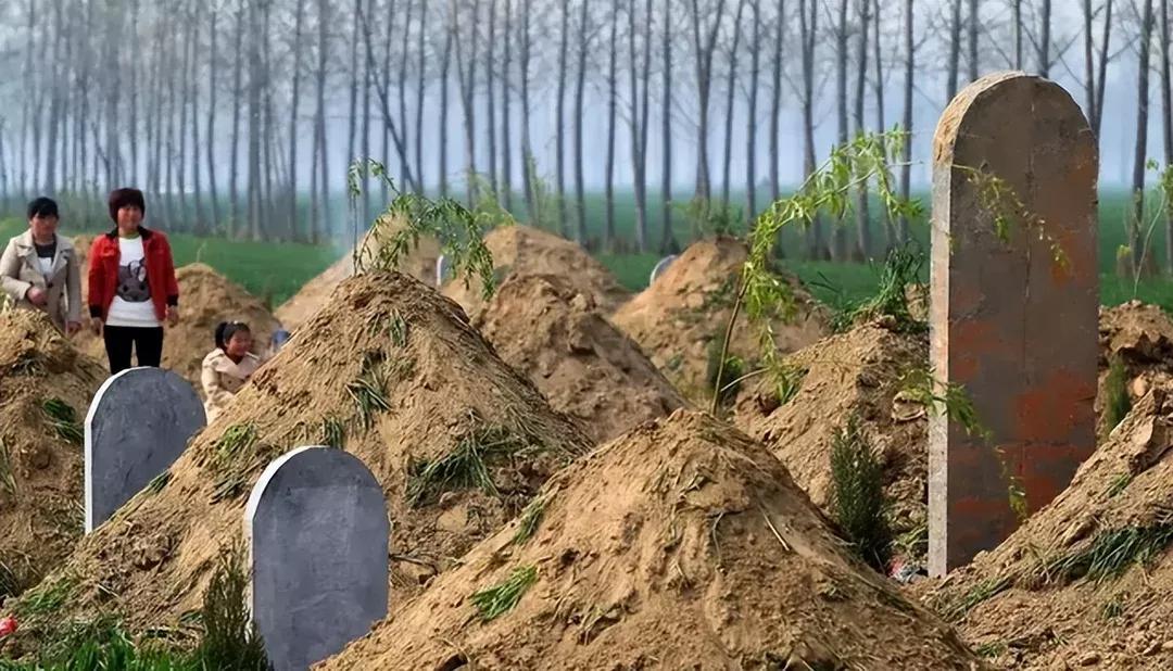 坟前长竹意味着什么预兆,为什么坟前长竹需迁坟