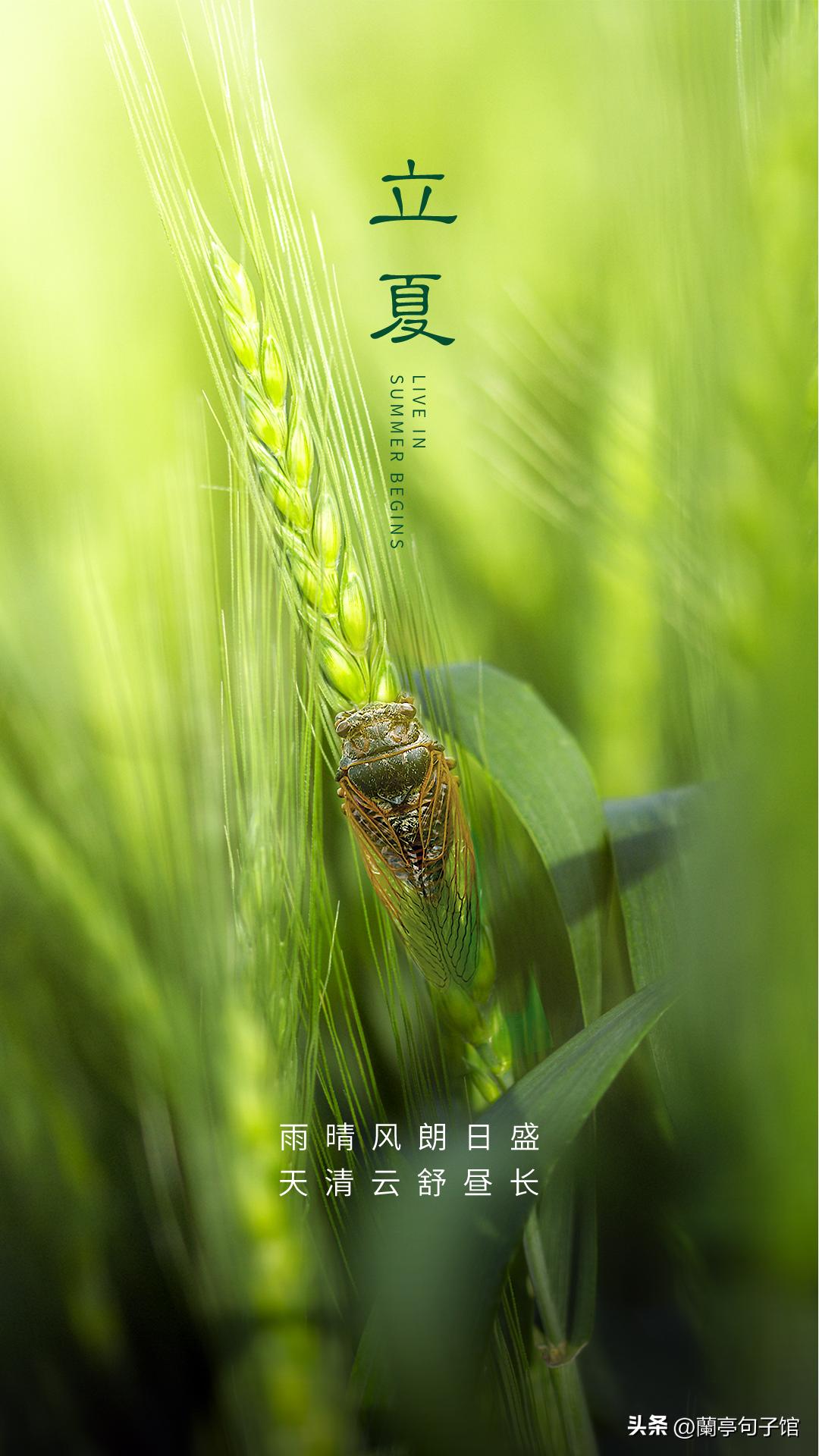 科普知识二十四节气之立夏,二十四节气立夏祝福寄语pdf