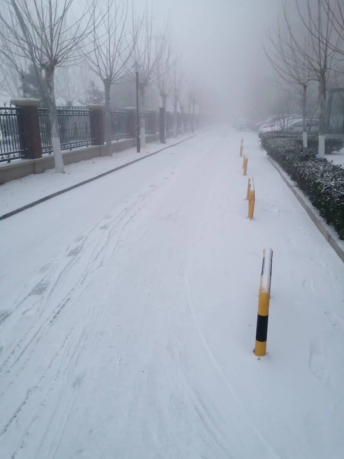 群诗：诗情物语春雪里（19首）