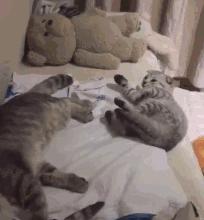 为什么会梦到很多奇怪的动物,做梦梦到好多动物是什么征兆