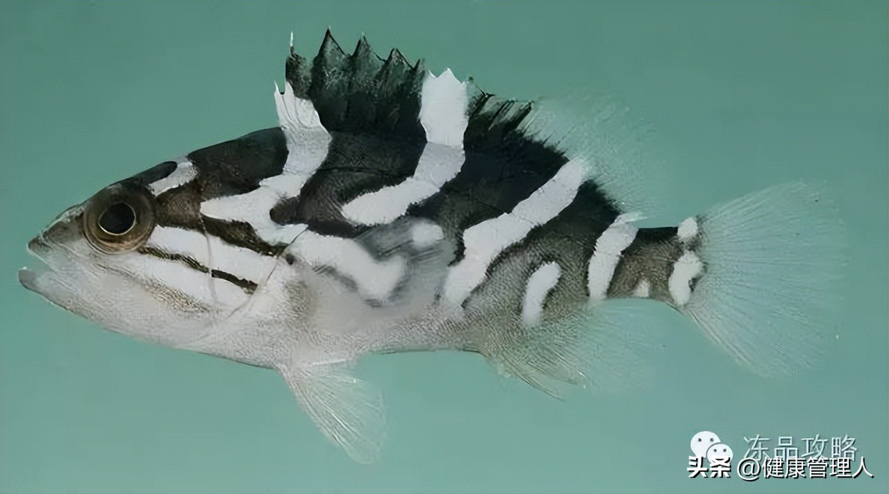 美容护肤食疗方案,美容护肤养生介绍