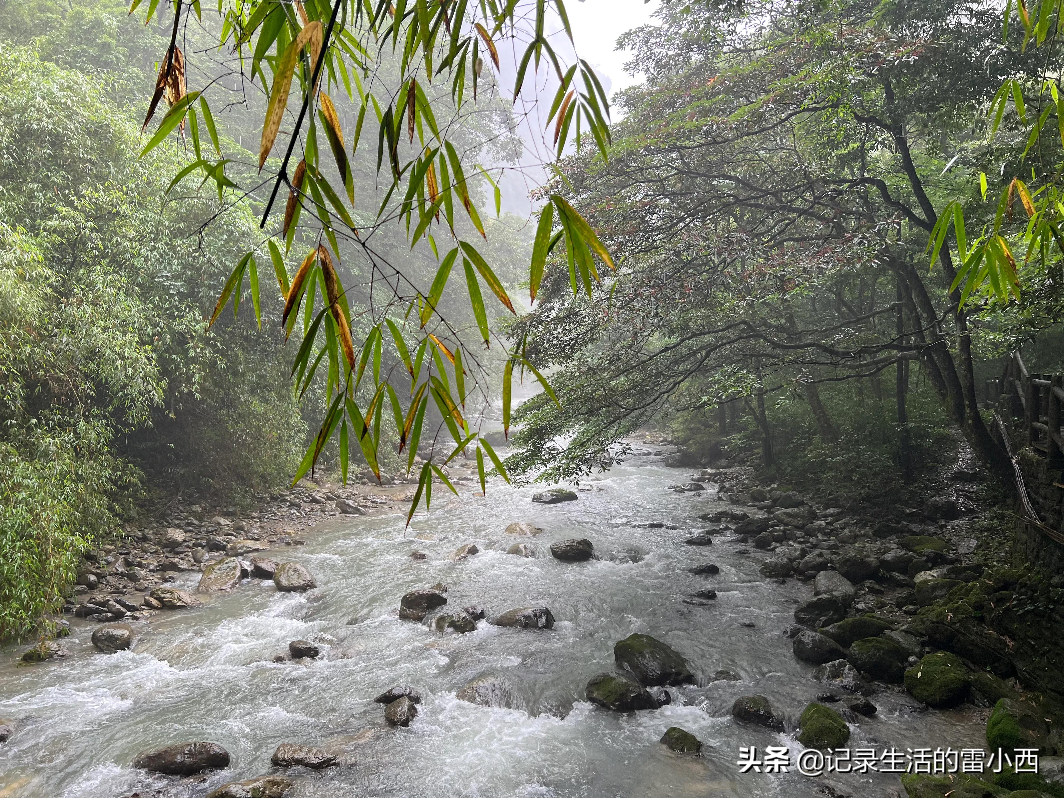 重庆到黑山谷景区怎么坐车,重庆黑山谷自驾游一天