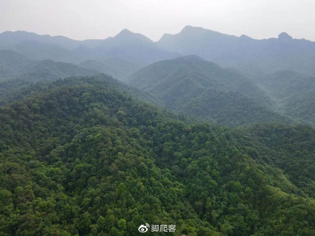 自然保护区志愿者申请,生态文化保护志愿者招募